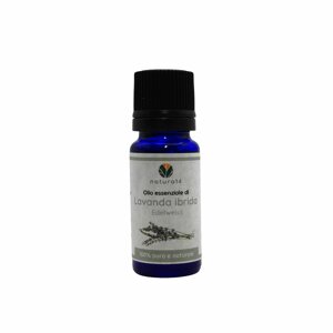 olio-essenziale-di-lavanda-ibrida-var-edelweiss