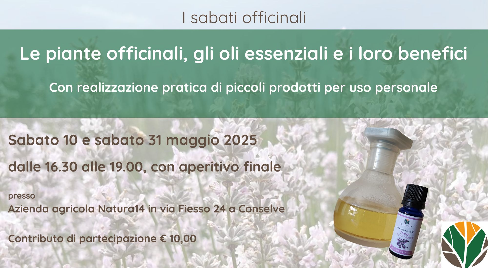 Le piante officinali, gli oli essenziali e i loro benefici