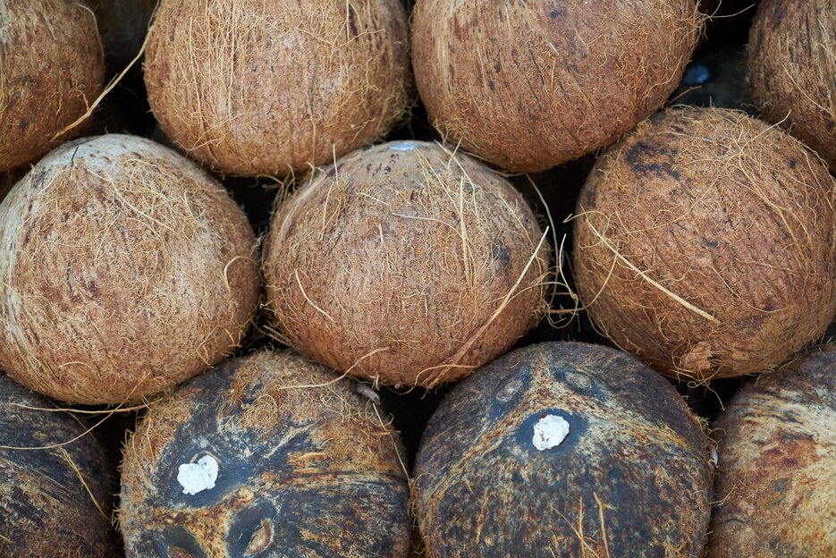coconut-4209198_1920.jpeg