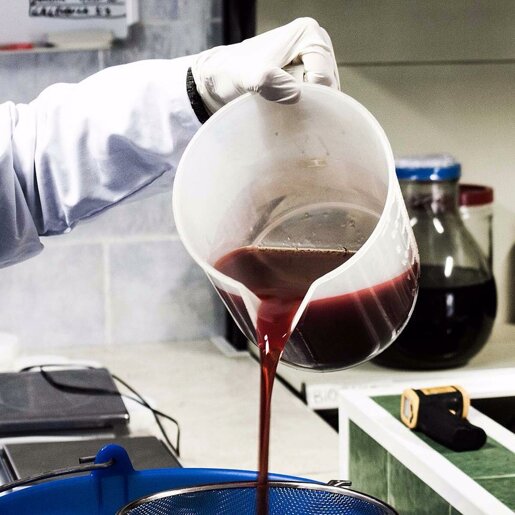 Estratto glicerico produzione