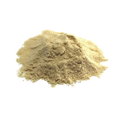 aloe vera in polvere 200x