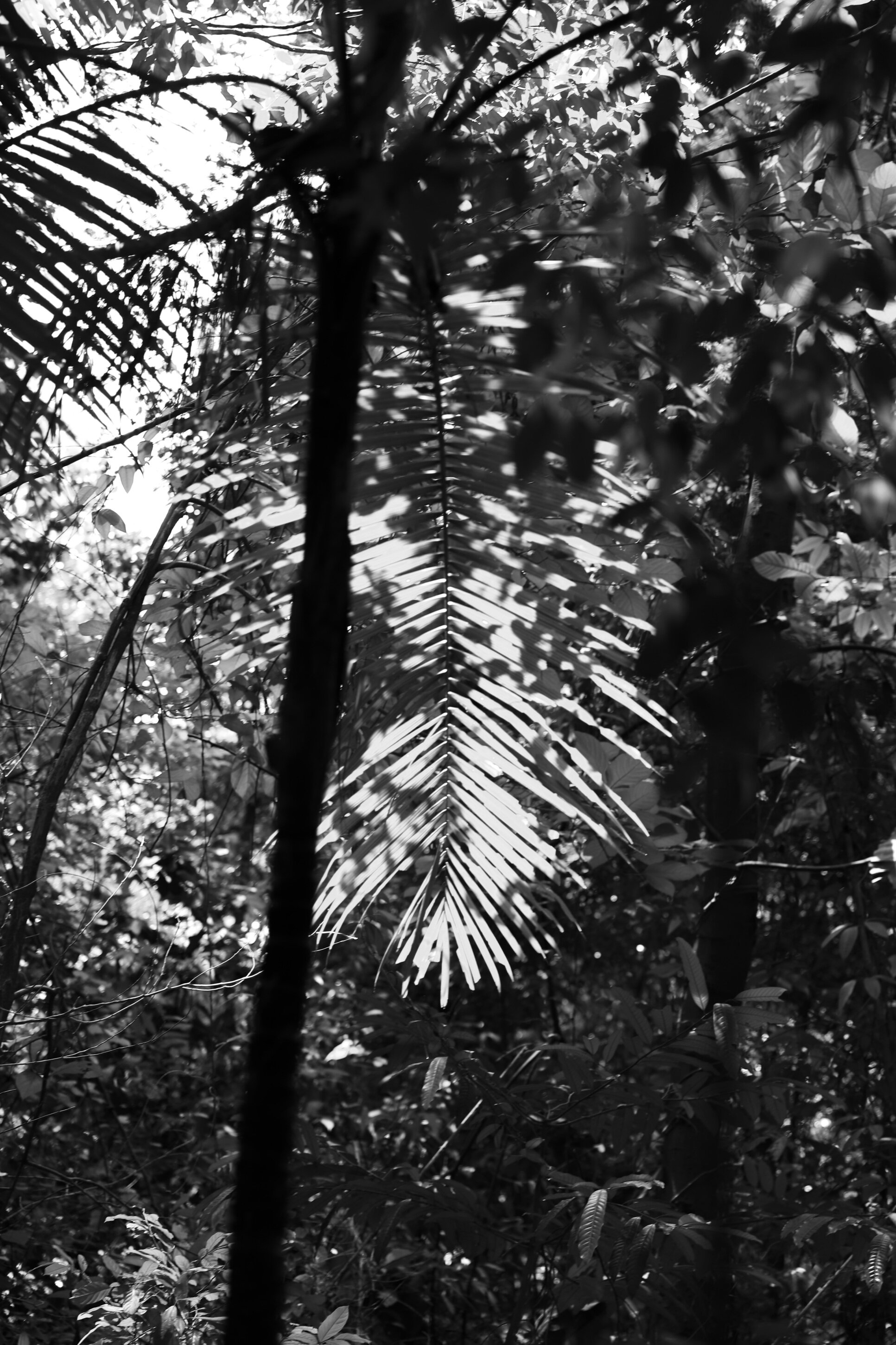 singapore_226.jpeg singapore_226.jpeg