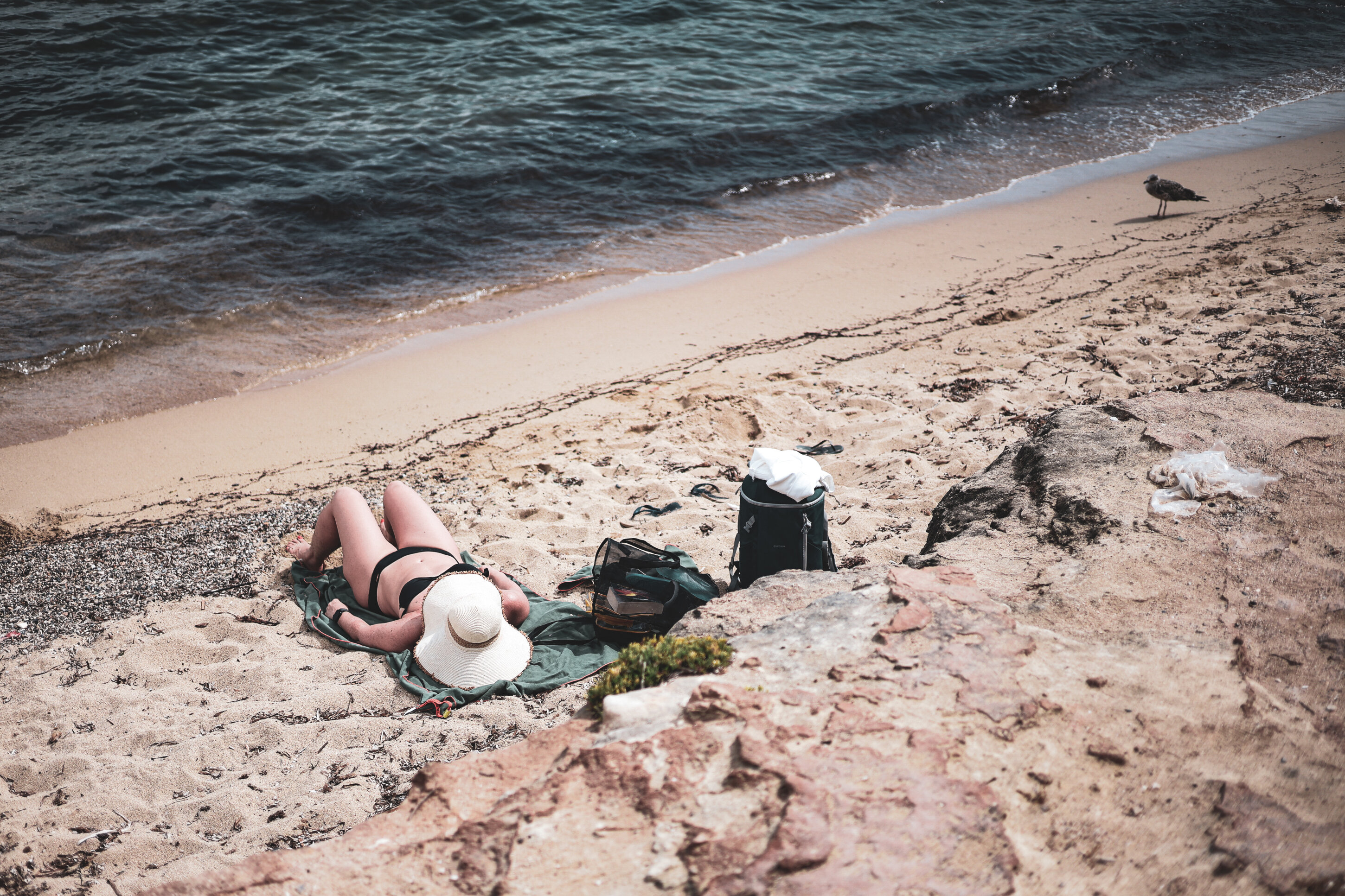 favignana_1153.jpeg favignana_1153.jpeg