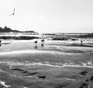 img_5136.jpeg img_5136.jpeg