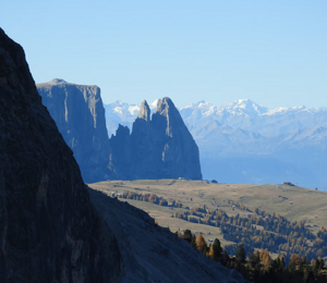 imgi_1_3df3c1_092e2533390445359c6b00dff65c050c~mv2_d_5184_3888_s_4_2