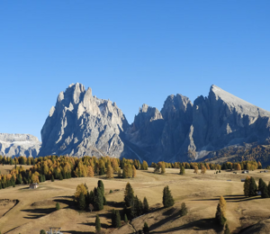 imgi_1_3df3c1_2be8b5f21729400eba309e5136c17c31~mv2_d_5184_3888_s_4_2