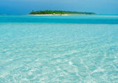 nsplsh_a0d975097a7143a8ac0c6c2b04368eca-mv2%20(1).jpeg