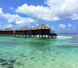 imgi_1_3df3c1_4f18a188333a4d47b853d1ee2cf777c5~mv2_d_3264_2448_s_4_2