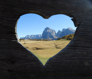 imgi_1_3df3c1_e58ef4e0acd049d4bf2213c4170dc217~mv2_d_2448_3264_s_4_2