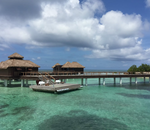 imgi_1_3df3c1_7e76d1c06e8044ccb07fd5b653023888~mv2_d_2448_3264_s_4_2