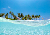 nsplsh_384f474a71704e4d42474d-mv2%20(1).jpeg