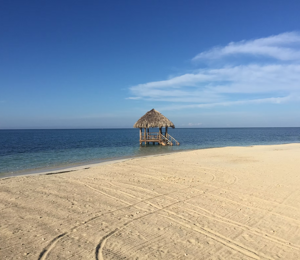 imgi_1_3df3c1_fc4e8ad8503542f99528ec80bd1c1f2b~mv2_d_2784_2448_s_4_2%20(1)