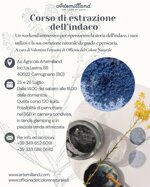 il-blu-corso-di-estrazione-e-tintura-artemilland