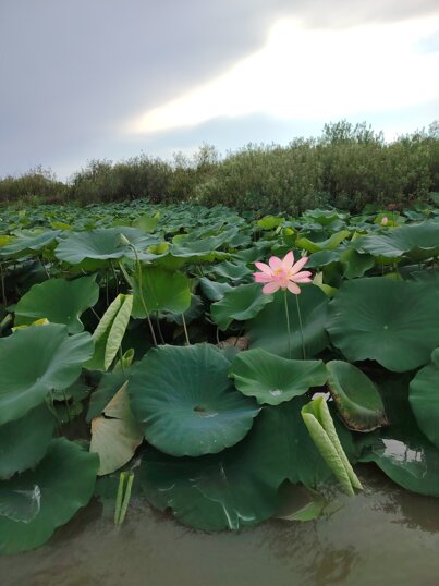 img_20250821_182415.jpeg img_20250821_182415.jpeg