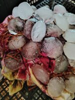 kit-tintura-cotone-a-freddo-ice-dyeing