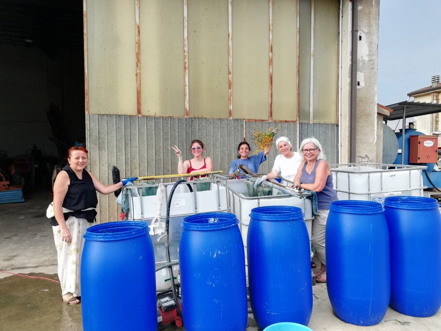 img_20240722_184311.jpeg img_20240722_184311.jpeg