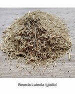 reseda-luteola-250gr