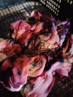 kit-tintura-cotone-a-freddo-ice-dyeing