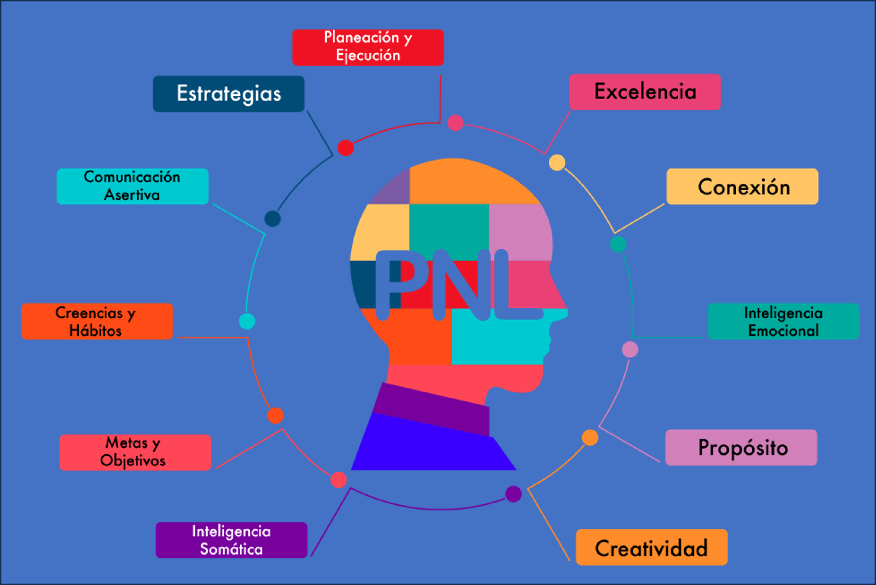 pnl_cambia-tu-forma-de-aprender_2.png gráfico de las reacciones humanas en el concepto de la PNL