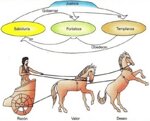 liderar-con-inteligencia-emocional