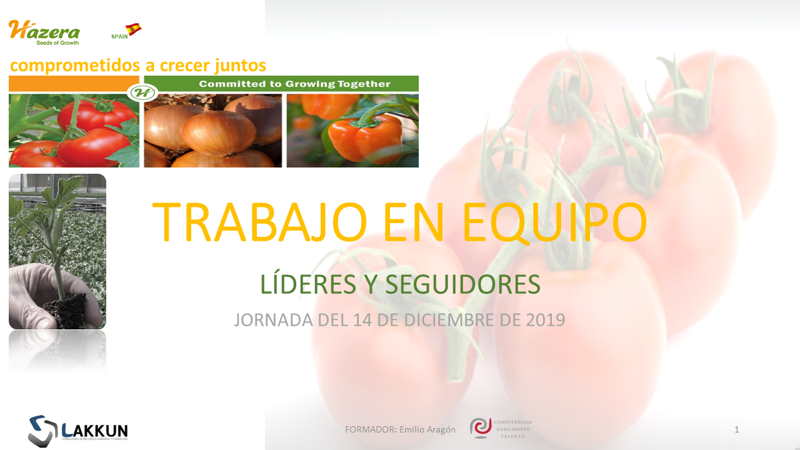 portada del curso Trabajos en Equipo en el fondo un racimo de tomates