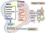 programacion-neurolinguistica-metaprogramas