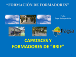 capataces-y-formadores-brigada-forestal