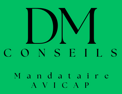 logo dm conseils