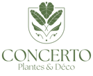 logo web principal concerto_vert clair - copie