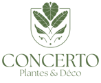 logo web principal concerto_vert clair - copie