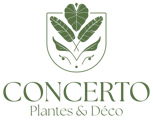 logo web principal concerto_vert clair - copie