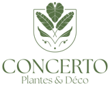 logo web principal concerto_vert clair - copie