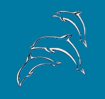 tratto_delfini_sfondoazzurro