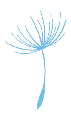 bp_seed_colour_on_dark