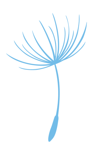 bp_seed_colour_on_dark