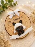 tronchetto-qui-comando-io-gatto