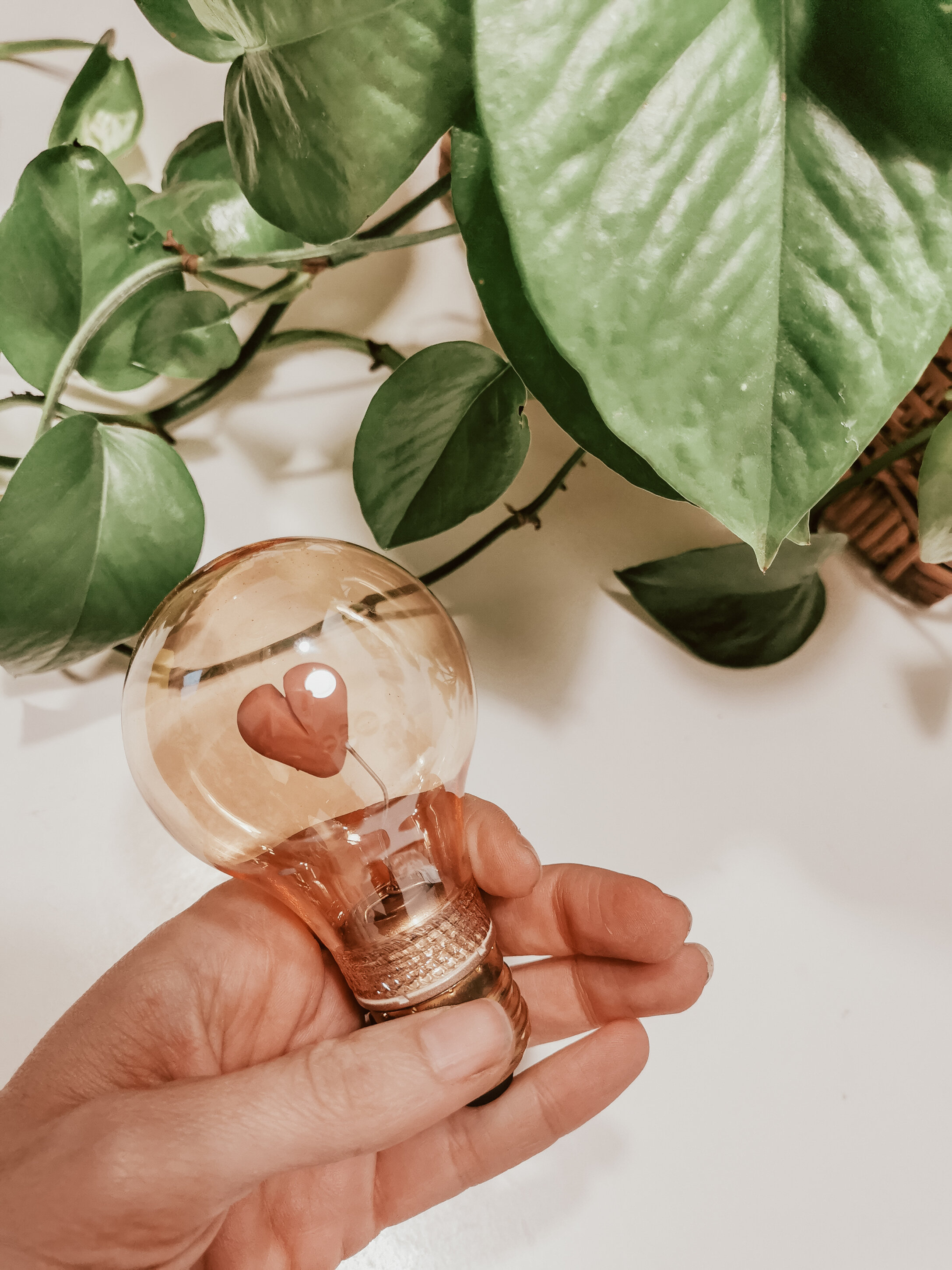 Sei alla ricerca di un regalo per un occasione specifica?