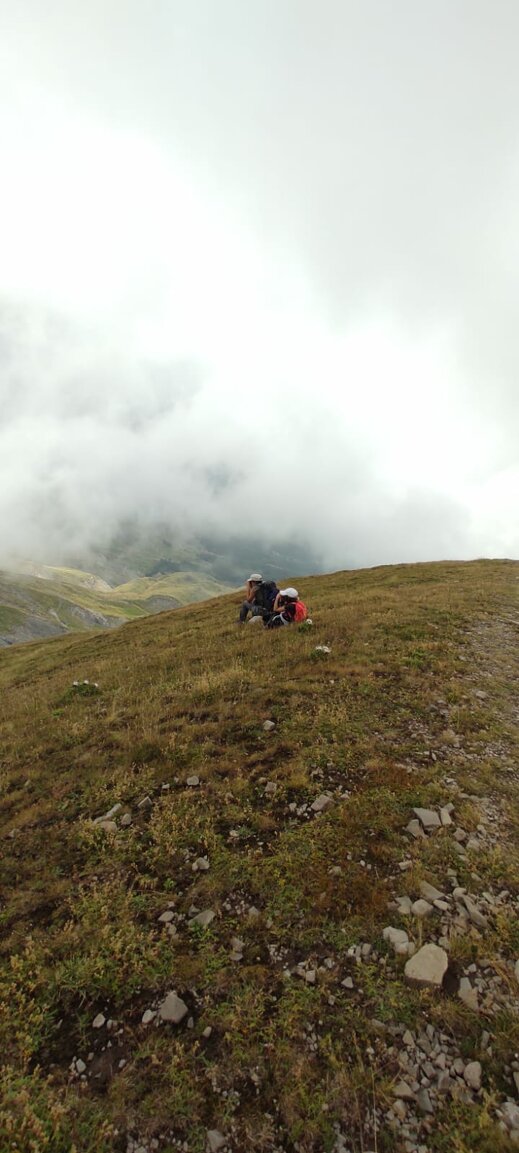 img-20240822-wa0025.jpeg img-20240822-wa0025.jpeg