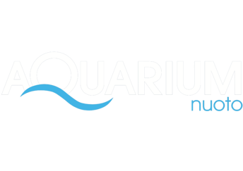 cartello a3 ingresso