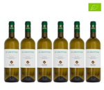 6-bottiglie-bolgheri-vermentino-le-grottine-2025-chiappini