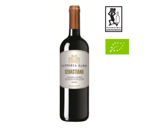 colline-lucchesi-rosso-sebastiano-2021-fattoria-sardi