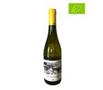 costa-toscana-bianco-tuscanio-2025-bulichella