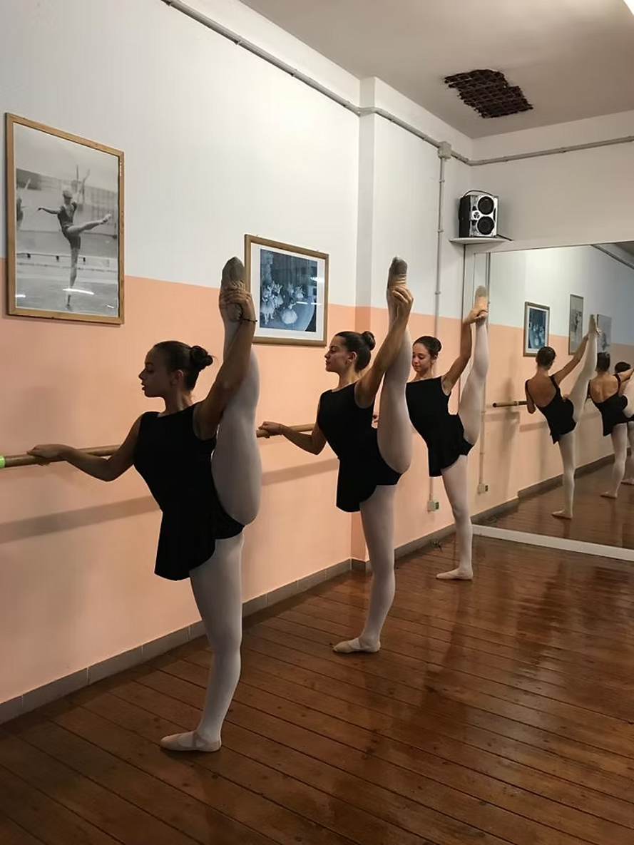 e31f4c_0dde04ce50d04956ac47a42107154a94~mv2