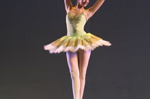 e31f4c_5a673c533d394cfaa3b8109d72deecdc e31f4c_5a673c533d394cfaa3b8109d72deecdc