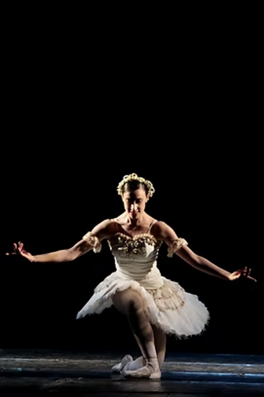 e31f4c_77f47a28b5ea4198a73909402b6c4d08~mv2