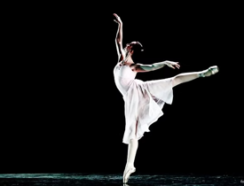 e31f4c_72b1e7556e584d4992c33d89958ec354