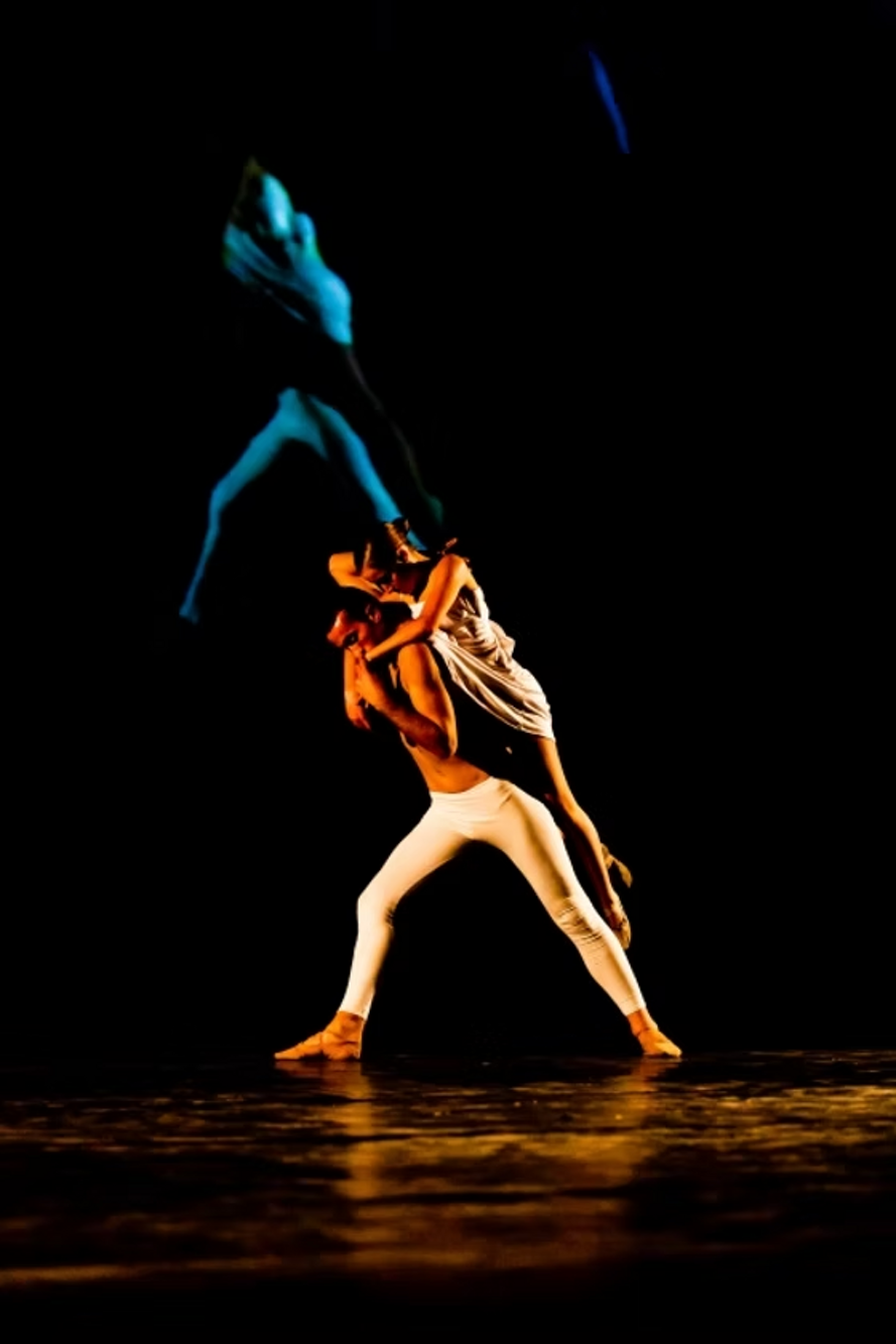 e31f4c_d3a3298d87174f578c71e0e75ce4f6bd