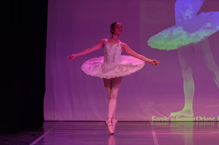 e31f4c_4bd9fc08fa554c2089338ae886265084~mv2 e31f4c_4bd9fc08fa554c2089338ae886265084~mv2