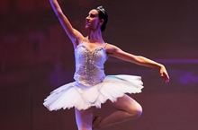 e31f4c_2160d201d9684dba98560bfd1ceb8f88~mv2 e31f4c_2160d201d9684dba98560bfd1ceb8f88~mv2