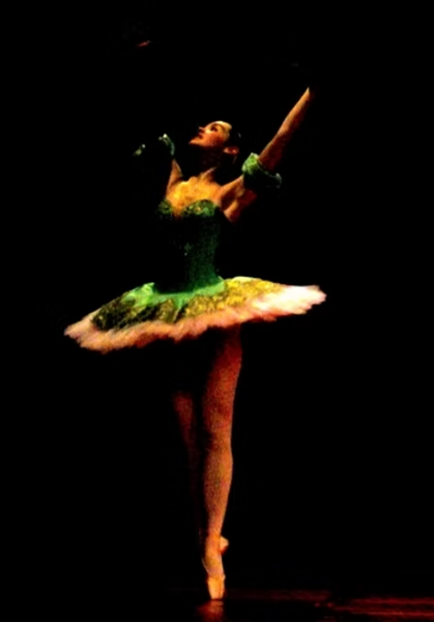 e31f4c_65a30a5a56cf4bf6880fcb8f2e2d2086